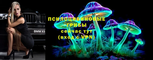 хмурый Бронницы