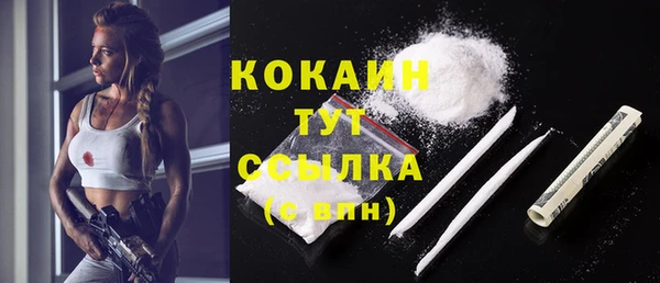 прущие крисы Бородино