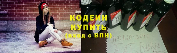 прущие крисы Бородино