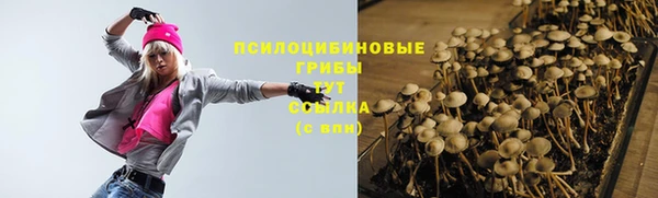 хмурый Бронницы