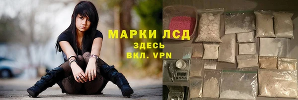 прущие крисы Бородино