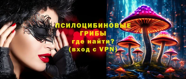 хмурый Бронницы