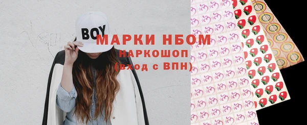 прущие крисы Бородино